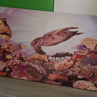 Quadro marino