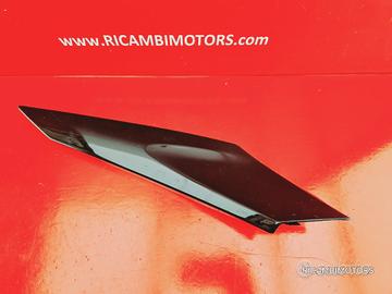 CARENA MARMITTA BMW R1200S