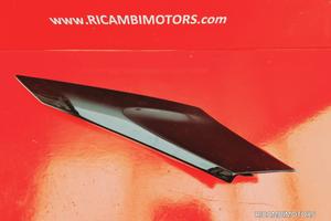 CARENA MARMITTA BMW R1200S