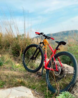Trek marlin 7