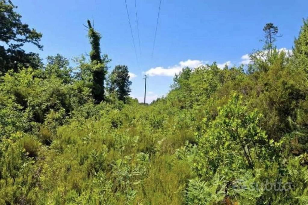 Immobile in asta di 30310 m² a Castelfranco di Sot - Vista 3