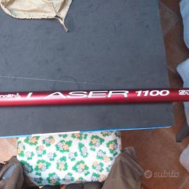 canna bolognese 11 mt.