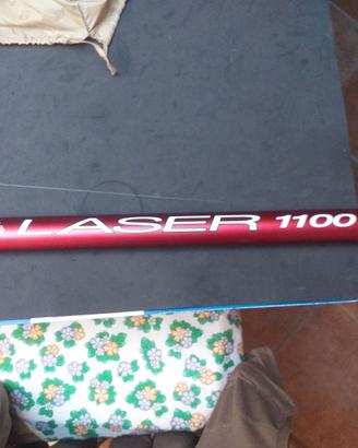 canna bolognese 11 mt.