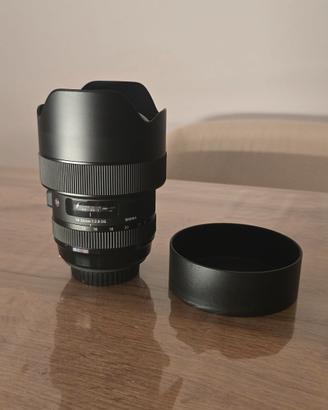 Sigma 14-24 MM F/2.8 DG art (canon)