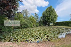 Azienda agricola vivaistica fronte Sile
