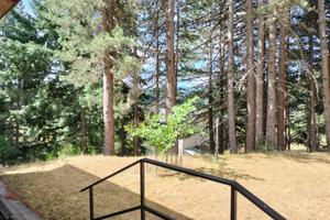 VILLA SINGOLA A SPEZZANO DELLA SILA