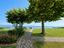 Immagine 22