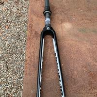 Forcella Argon 18 Gallium 31