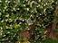 Immagine 25