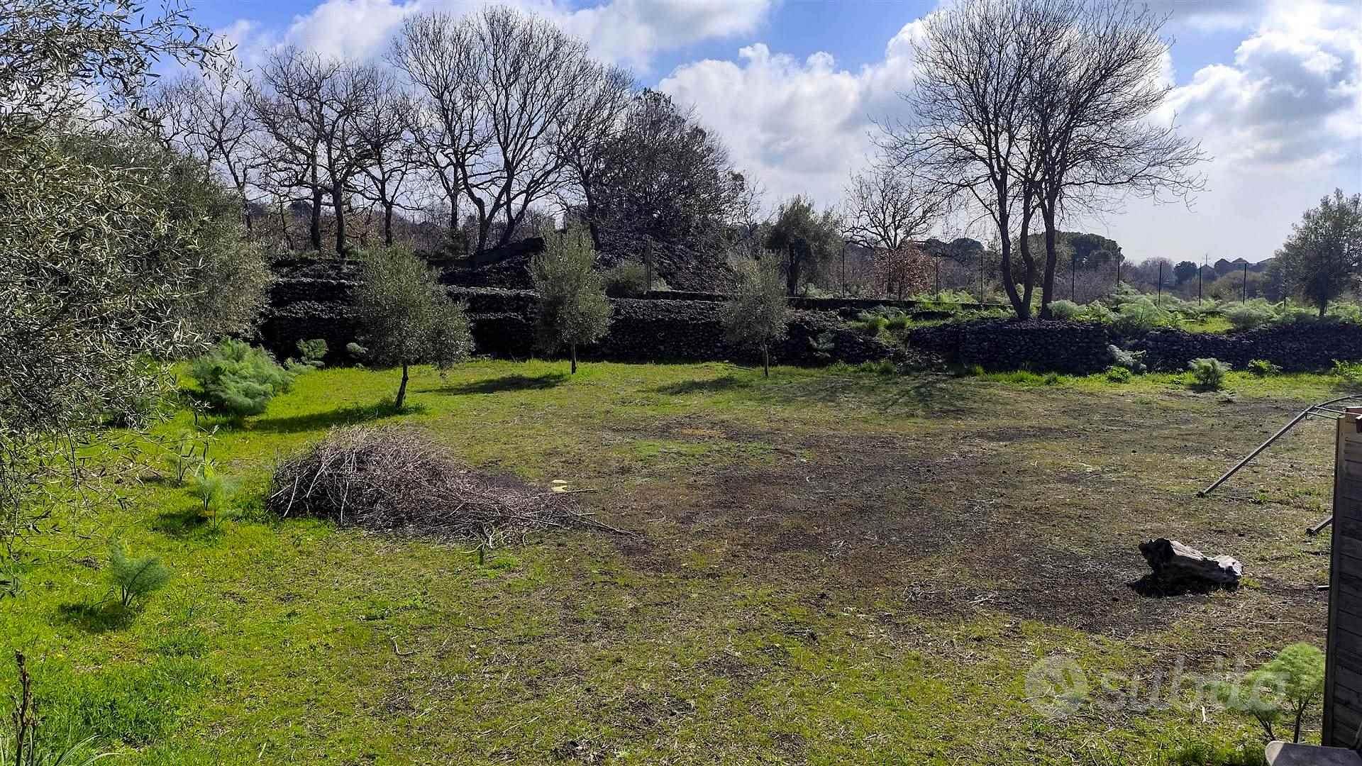 Rif.FP8| terreno agricolo belpasso - View 5