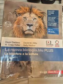 Libro scolastico scuola superiore 9788808573407