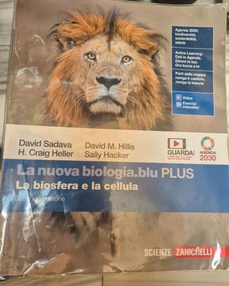 Libro scolastico scuola superiore 9788808573407