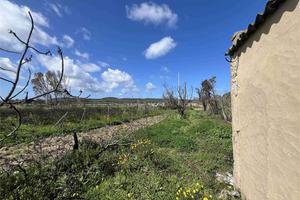 Terreno di 12000 mq con casa