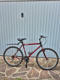 Bicicletta MTB 