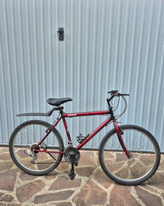 Bicicletta MTB 