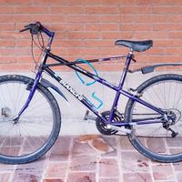 Bicicletta MTB Bianchi Ragno Thomisus Vintage