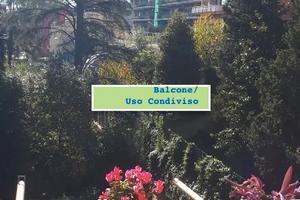 MONTEVERDE STANZA SINGOLA ARREDATA Ben COLLEGATA