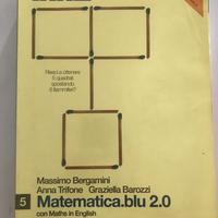 Matematica blu - volume 5