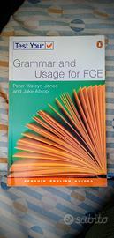 Test Your Grammar and Usage for Fce