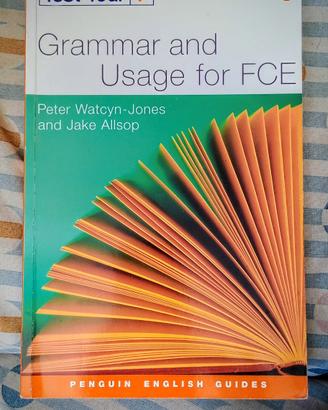 Test Your Grammar and Usage for Fce