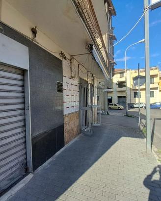 Negozio Cardito [Cod. rif 3309613ACG]