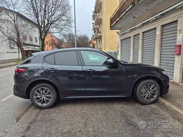 Auto Stelvio Executive