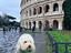 Immagine 2