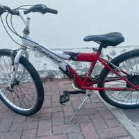 Bicicletta ruota 24