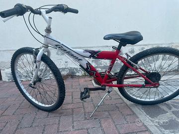 Bicicletta ruota 24