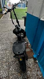 Bicicletta pedalata assistita