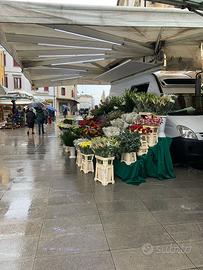 Attività di mercato
