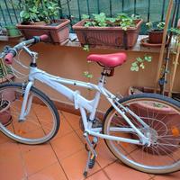 BICICLETTA MOUNTAIN BIKE-PININFARINA