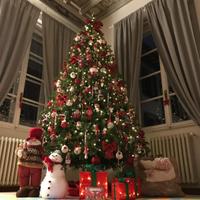 Albero e decori nata