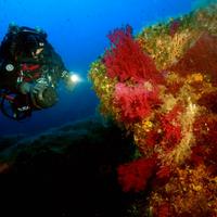 Ribasso *** Fotosub Case Giosin Sony A7