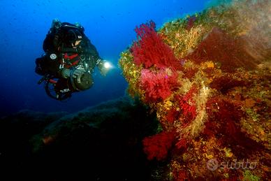 Ribasso *** Fotosub Case Giosin Sony A7