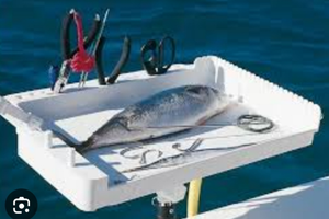 Kristal Console da pesca