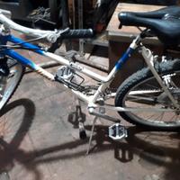 MTB donna Bellini