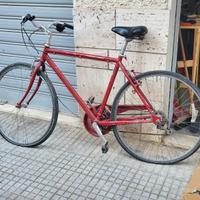 Bicicletta da uomo Vicini