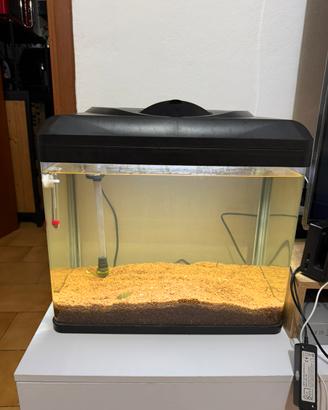 Acquario 45lt