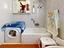 Immagine 22