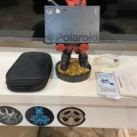 Polaroid Mint Shoot + Print