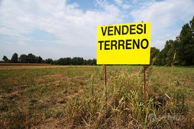 Terreno con rudere Ferentino