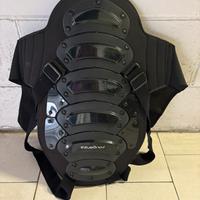 Tartaruga equitazione