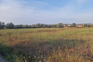 Terreno di 1700 m² a Roma