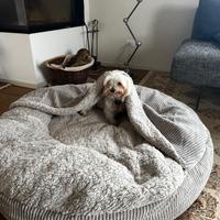 Cuscino cuccia rotonda cane XXL 130cm  mai usato