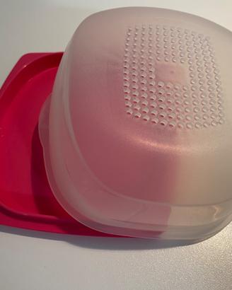 Cheesmart server mini tupperware