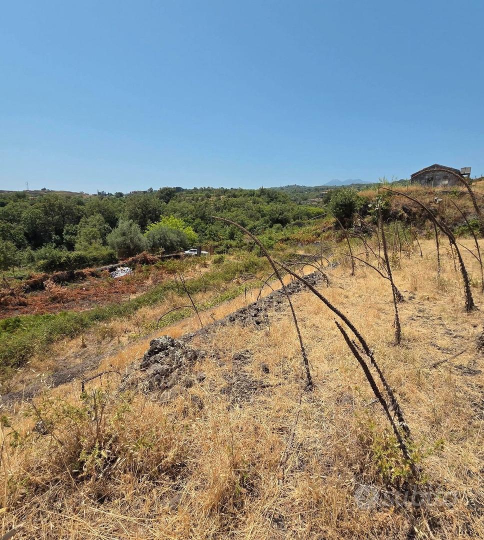 Terreno agricolo con fabbricato a Piedimonte Etneo - Vista 5