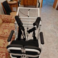 sollevatore verticale x disabili