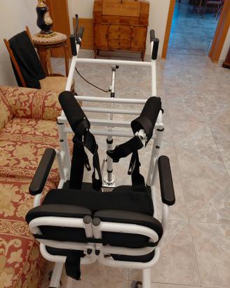 sollevatore verticale x disabili