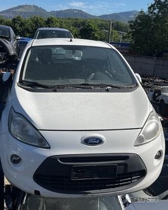 Ricambi muso ford ka